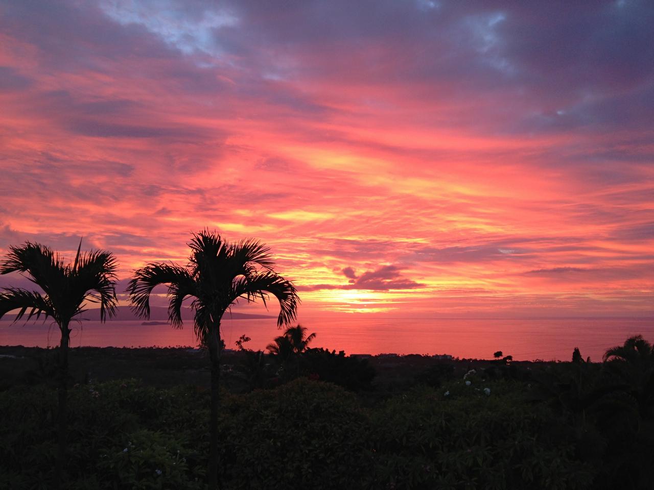 Southwest view after rain with